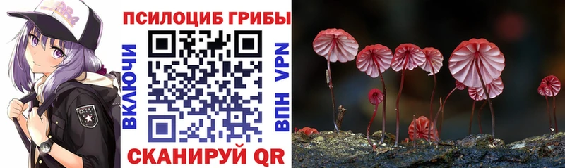 Псилоцибиновые грибы мицелий  наркота  Заволжск 